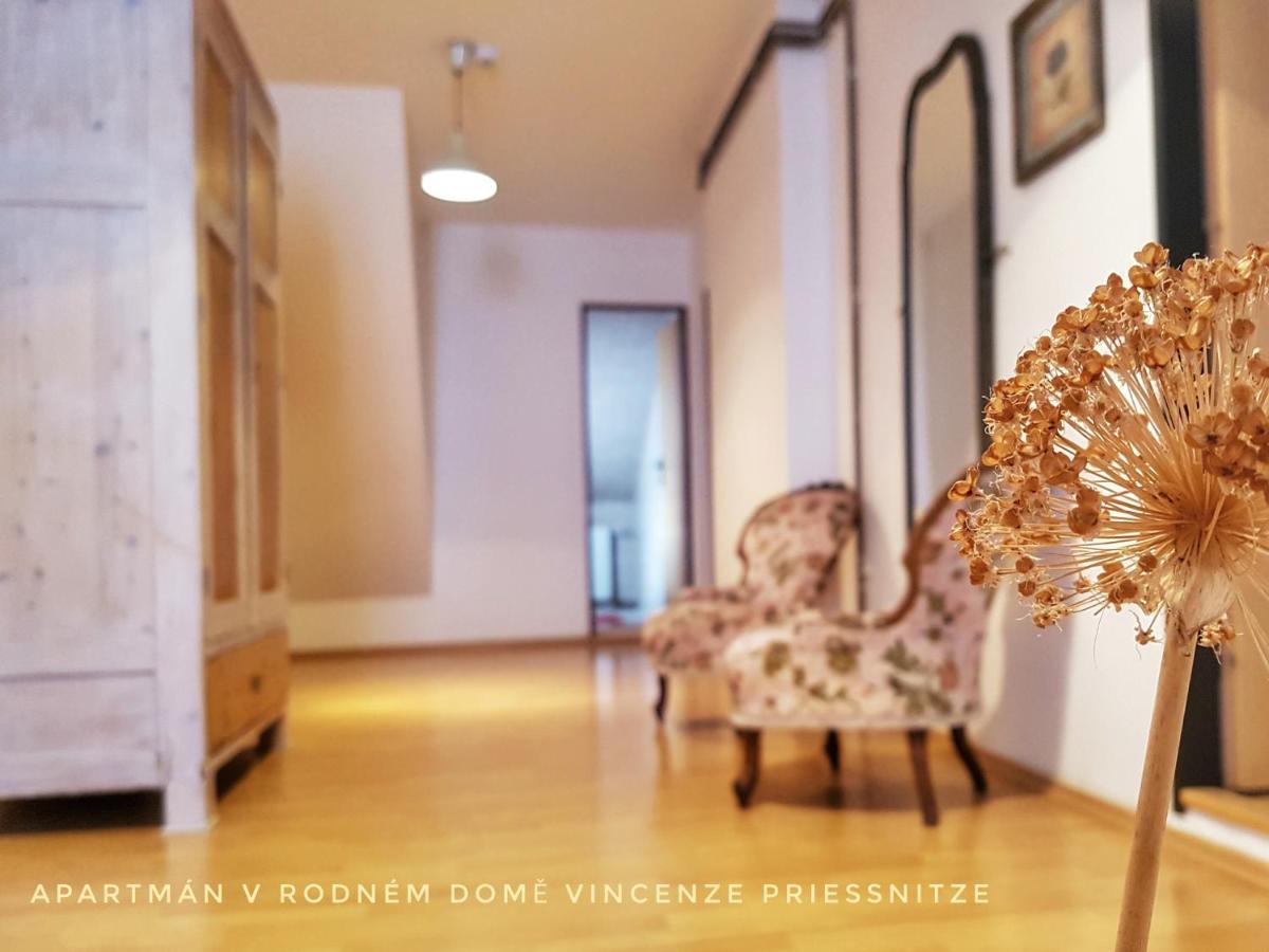 Apartma V Rodnem Dome Vincenze Priessnitze V Centru Lazni Jeseník Eksteriør billede